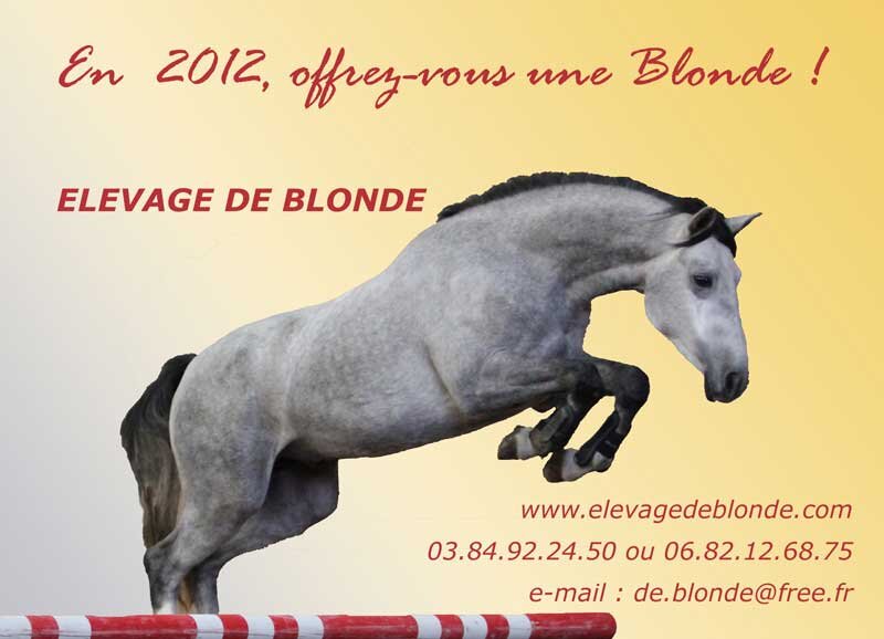 pub-de-blonde-pour-catalogu.jpg